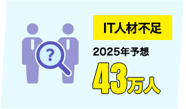 IT人材不足 2025年予想 43万人