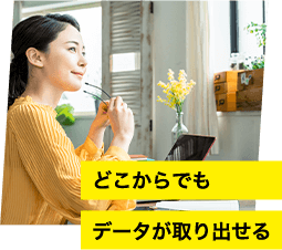 どこからでもデータが取り出せる